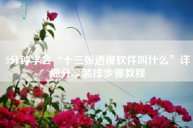 3分钟学会“十三张透视软件叫什么	”详细分享装挂步骤教程