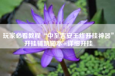 玩家必看教程“中至吉安王炸开挂神器”开挂辅助脚本+详细开挂