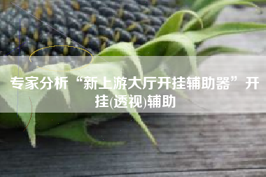 专家分析“新上游大厅开挂辅助器”开挂(透视)辅助