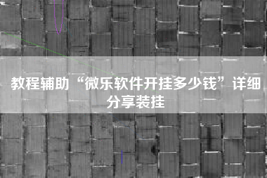 教程辅助“微乐软件开挂多少钱”详细分享装挂