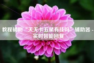 教程辅助“天天卡五星有挂吗	”辅助器 - 实时智能回复