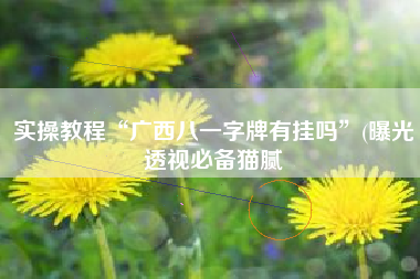 实操教程“广西八一字牌有挂吗	”(曝光透视必备猫腻