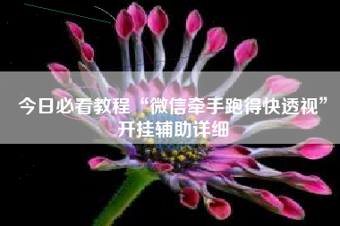 今日必看教程“微信牵手跑得快透视”开挂辅助详细