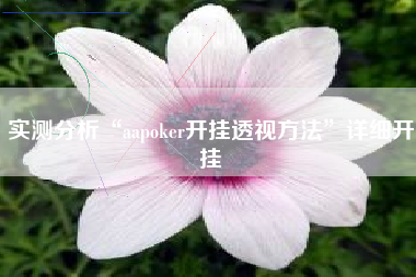 实测分析“aapoker开挂透视方法	”详细开挂