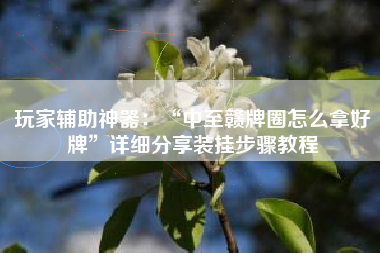 玩家辅助神器：“中至赣牌圈怎么拿好牌”详细分享装挂步骤教程