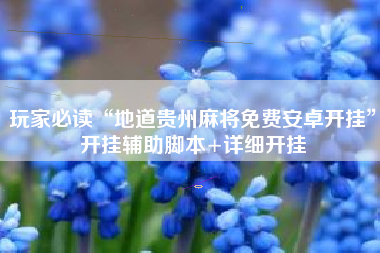 玩家必读“地道贵州麻将免费安卓开挂”开挂辅助脚本+详细开挂