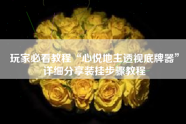 玩家必看教程“心悦地主透视底牌器”详细分享装挂步骤教程