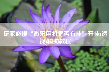 玩家必搜“微乐麻将是否有挂	”开挂(透视)辅助教程