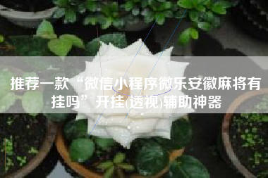 推荐一款“微信小程序微乐安徽麻将有挂吗”开挂(透视)辅助神器