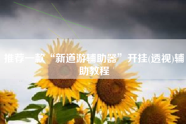 推荐一款“新道游辅助器	”开挂(透视)辅助教程