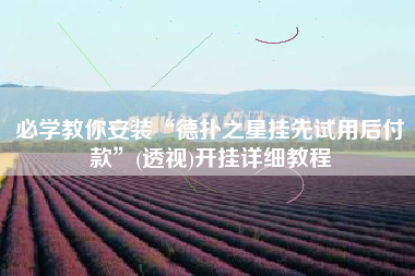 必学教你安装“德扑之星挂先试用后付款	”(透视)开挂详细教程