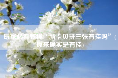 玩家必看教程“新卡贝拼三张有挂吗	”(原来确实是有挂)