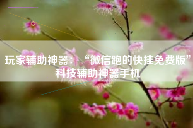 玩家辅助神器：“微信跑的快挂免费版	”科技辅助神器手机