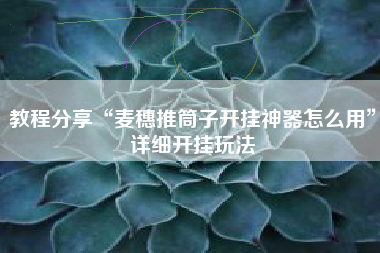 教程分享“麦穗推筒子开挂神器怎么用	”详细开挂玩法