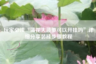 玩家必读“蒲花大菠萝可以开挂吗”详细分享装挂步骤教程