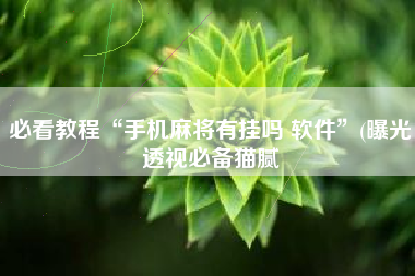必看教程“手机麻将有挂吗 软件”(曝光透视必备猫腻