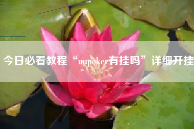 今日必看教程“uupoker有挂吗”详细开挂