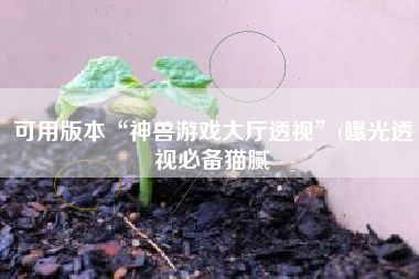 可用版本“神兽游戏大厅透视”(曝光透视必备猫腻