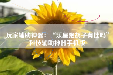 玩家辅助神器：“乐星跑胡子有挂吗”科技辅助神器手机版