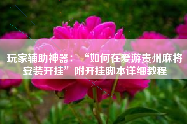 玩家辅助神器：“如何在爱游贵州麻将安装开挂”附开挂脚本详细教程