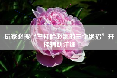 玩家必搜“三打哈必赢的三个绝招”开挂辅助详细