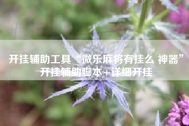 开挂辅助工具“微乐麻将有挂么 神器”开挂辅助脚本+详细开挂