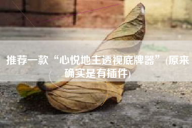 推荐一款“心悦地主透视底牌器”(原来确实是有插件)