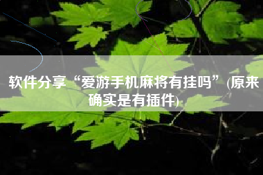 软件分享“爱游手机麻将有挂吗	”(原来确实是有插件)