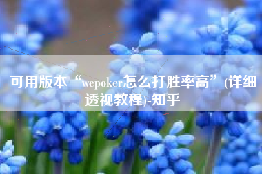 可用版本“wepoker怎么打胜率高”(详细透视教程)-知乎