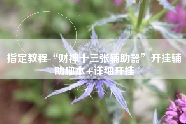 指定教程“财神十三张辅助器	”开挂辅助脚本+详细开挂