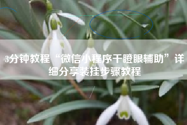 3分钟教程“微信小程序干瞪眼辅助	”详细分享装挂步骤教程