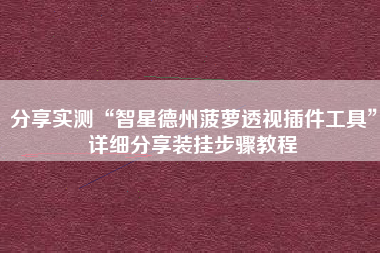 分享实测“智星德州菠萝透视插件工具	”详细分享装挂步骤教程