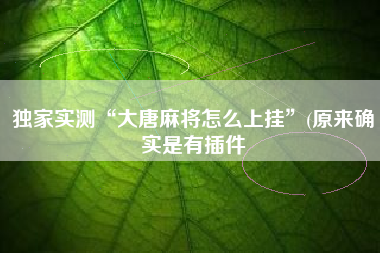 独家实测“大唐麻将怎么上挂”(原来确实是有插件