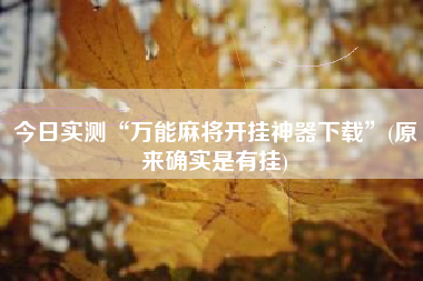 今日实测“万能麻将开挂神器下载”(原来确实是有挂)