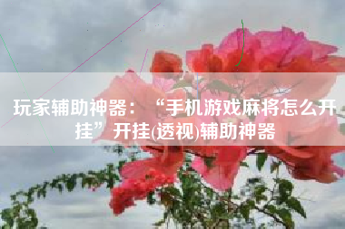 玩家辅助神器：“手机游戏麻将怎么开挂”开挂(透视)辅助神器