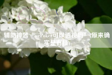 辅助神器“wePoker可以透视吗	”(原来确实是有挂)