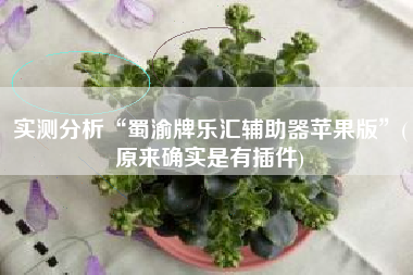实测分析“蜀渝牌乐汇辅助器苹果版	”(原来确实是有插件)