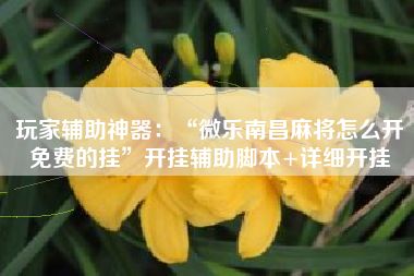 玩家辅助神器：“微乐南昌麻将怎么开免费的挂	”开挂辅助脚本+详细开挂