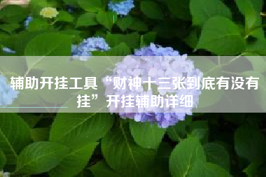 辅助开挂工具“财神十三张到底有没有挂	”开挂辅助详细