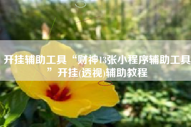 开挂辅助工具“财神13张小程序辅助工具”开挂(透视)辅助教程