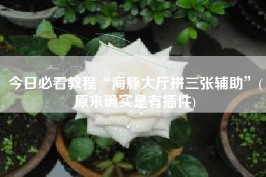 今日必看教程“海豚大厅拼三张辅助	”(原来确实是有插件)