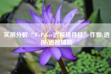 实测分析“WePoker透视插件挂	”作弊(透视)透视辅助