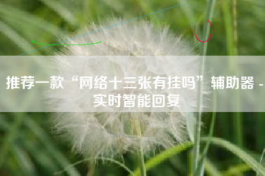 推荐一款“网络十三张有挂吗	”辅助器 - 实时智能回复