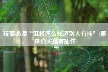 玩家必读“麻将怎么知道别人有挂	”(原来确实是有插件