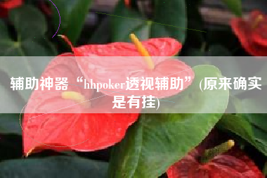 辅助神器“hhpoker透视辅助	”(原来确实是有挂)