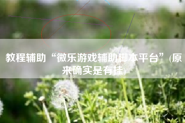 教程辅助“微乐游戏辅助脚本平台”(原来确实是有挂)