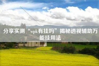 分享实测“wpk有挂吗”揭秘透视辅助万能挂用法