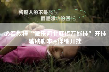 必看教程“微乐河北麻将万能挂”开挂辅助脚本+详细开挂