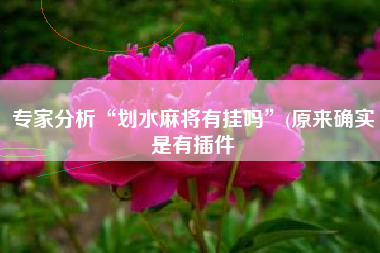 专家分析“划水麻将有挂吗	”(原来确实是有插件