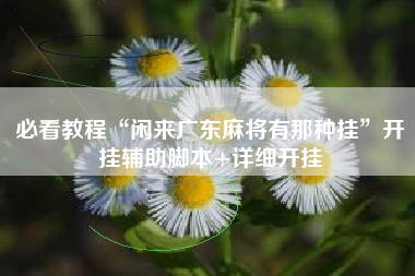必看教程“闲来广东麻将有那种挂”开挂辅助脚本+详细开挂
